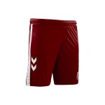 Herren SSV Jahn Regensburg 2024/25 Auswärts Shorts