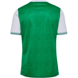 ASSE Herren-Heimtrikot 2025/26 ASSE Herren-Heimtrikot 2025/26
