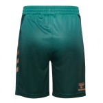 Werder Bremen 2025/26 Dritte Shorts Herren