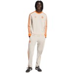 Herren Everton 2025/26 Drittes St Patricks Day Trikot