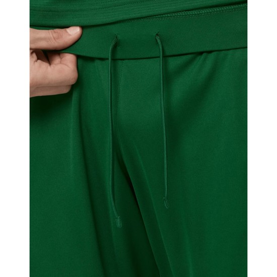 Herren Irland 2026 Heimshorts