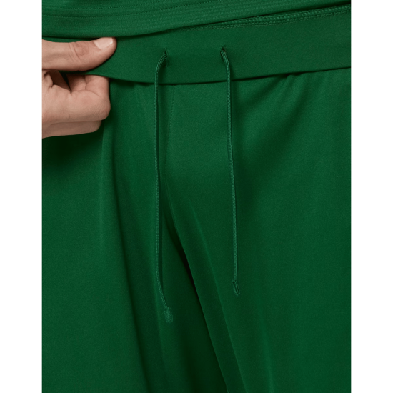 Herren Irland 2026 Heimshorts