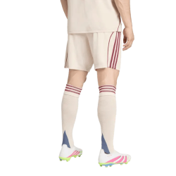 Herren Ajax 2025/26 Ausweichshorts