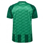 Herren Werder Bremen 2024/25 Heimtrikot