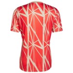 Herren Bayern München 2024/25 Dritte Pre Match Trikot