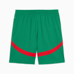 Herren Marokko 2025 Dritte Shorts - Grün