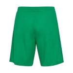 Herren ASSE 2024/25 Auswärts Shorts