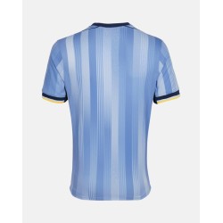 Herren Tottenham Hotspur 2024/25 Auswärts Trikot