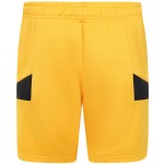 Herren Wolverhampton Wanderers 2024/25 Heim Shorts