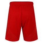 Herren Fulham 2024/25 Auswärtsshorts