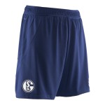 Herren FC Schalke 04 2024/25 Drittes Shorts