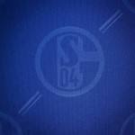 Damen FC Schalke 04 2024/25 Heim Trikot