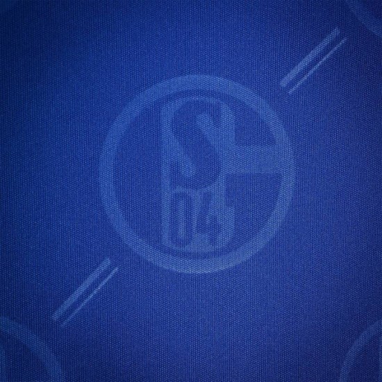 Damen FC Schalke 04 2024/25 Heim Trikot