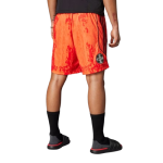 Herren Arsenal x NTS 2025/26 Urban Purist Shorts