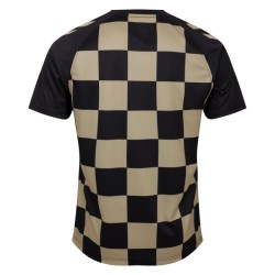 Herren Coventry City 2024/25 Drittel Alternierendes Pre Match Shirt