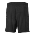 Damen SpVgg Greuther 2024/25 Drittes Shorts