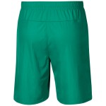 Herren SpVgg Greuther 2024/25 Auswärts Shorts