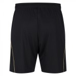Herren Fulham 2025/26 Dritte Shorts