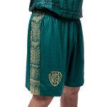 Herren VIS Aurelia 2025/26 Heim Shorts