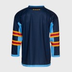 Herren Djurgårdens IF 2025 Heim Langarm CCM Trikot