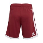 Herren Katar 2026 WM Heimshorts
