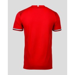 Herren FC Twente 2024/25 Heim Europa League Trikot