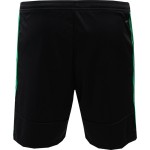 Herren PEC Zwolle 2024/25 Auswärtsshorts