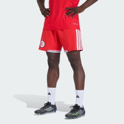 Herren Chicago Fire 2026 Heimshorts