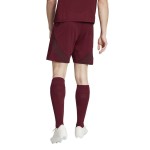 Herren Roma 2024/25 Heim Shorts