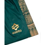 Herren VIS Aurelia 2025/26 Heim Shorts