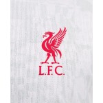 Herren Liverpool 2024/25 Drittes Trikot