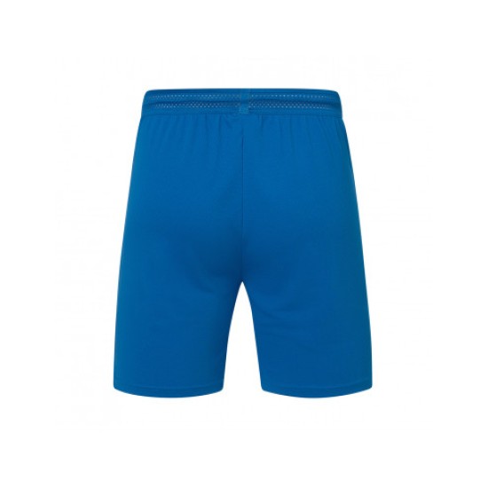 Herren RCD Espanyol 2024/25 Heim Shorts