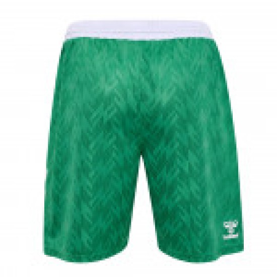 Herren Werder Bremen 2024/25 Heimshorts - Grün
