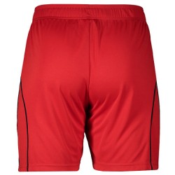 Herren Hamburger SV 2025/26 Heimshorts