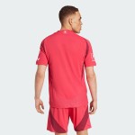 Damen St. Louis City SC 2025 Heim Shorts Damen St. Louis City SC 2025 Heim Shorts