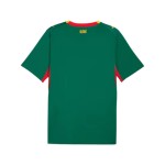 Herren Senegal 2026 Auswärts-WM-Trikot