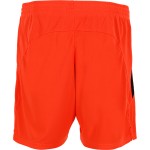 Herren SC Paderborn 07 2024/25 Drittes Shorts