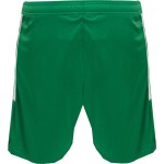 Herren PEC Zwolle 2025/26 115-Jahre-Jubiläumsshorts