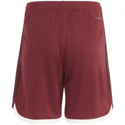 Kinder Bayern München 2023/24 Dritte Shorts Kinder Bayern München 2023/24 Dritte Shorts