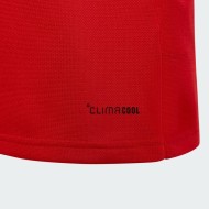 Kinder Wales 2025/26 150-jähriges Jubiläum Langarmtrikot