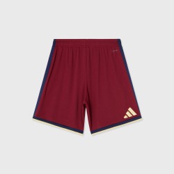 Kinder Djurgårdens IF 2026 Auswärtsshorts