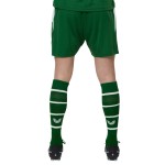 Herren Irland 2026 Heimshorts