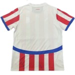 Paraguay Heimtrikot Copa America 2024