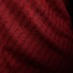 Herren Dynamo Dresden 2025/26 Spezial Whiteout Trikot