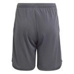 Kinder Juventus 2023/24 Dritte Shorts