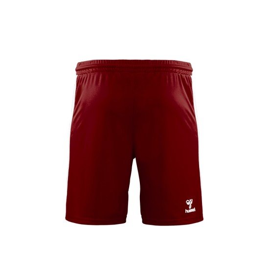 Herren SSV Jahn Regensburg 2024/25 Auswärts Shorts