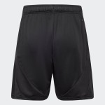 Herren 1.FC Union Berlin 2024/25 Auswärtsshorts
