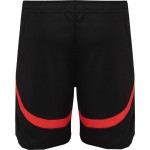 Damen PSV 2024/25 Heimshorts