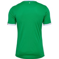 Herren ASSE 2024/25 Heim Trikot