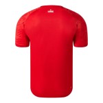 Herren LOSC 2024/25 Heim Pre-Match Trikot